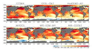 CMIP5結合モデル毎の海面水温変化パターン